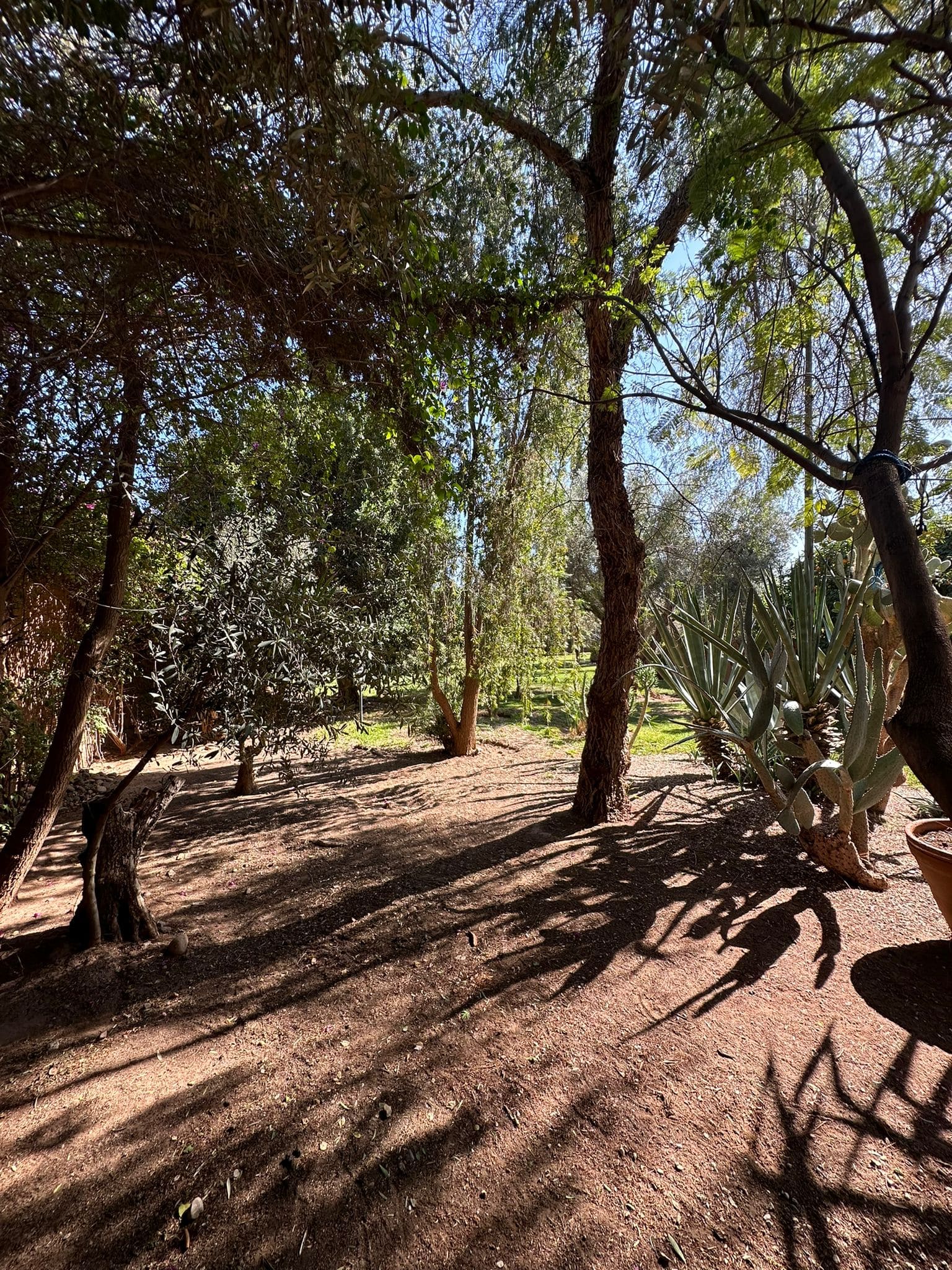 Villa de luxe à vendre Route de fez à Marrakech