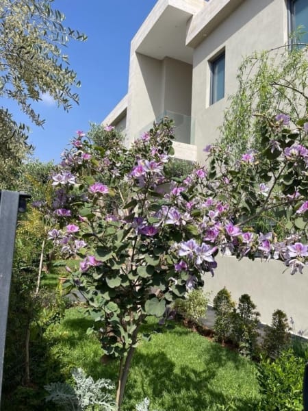 À Vendre : Superbe Villa sur la Route d'Amizmiz